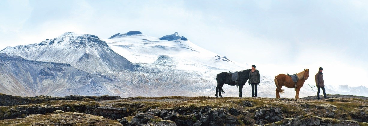 Hestamynd Snæfellsjökull.jpg